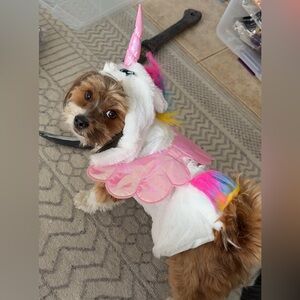 Unicorn Dog Costume